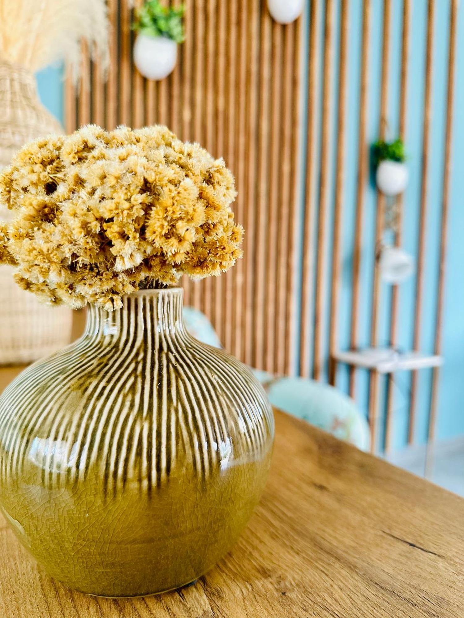T2 « Boheme » Avec Spa… Calenzana Ngoại thất bức ảnh
